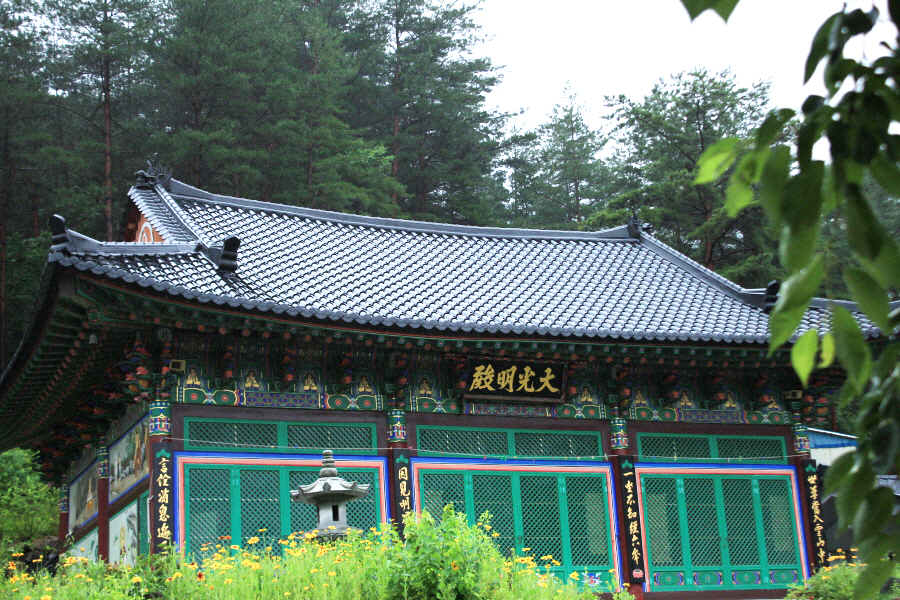 01.jpg